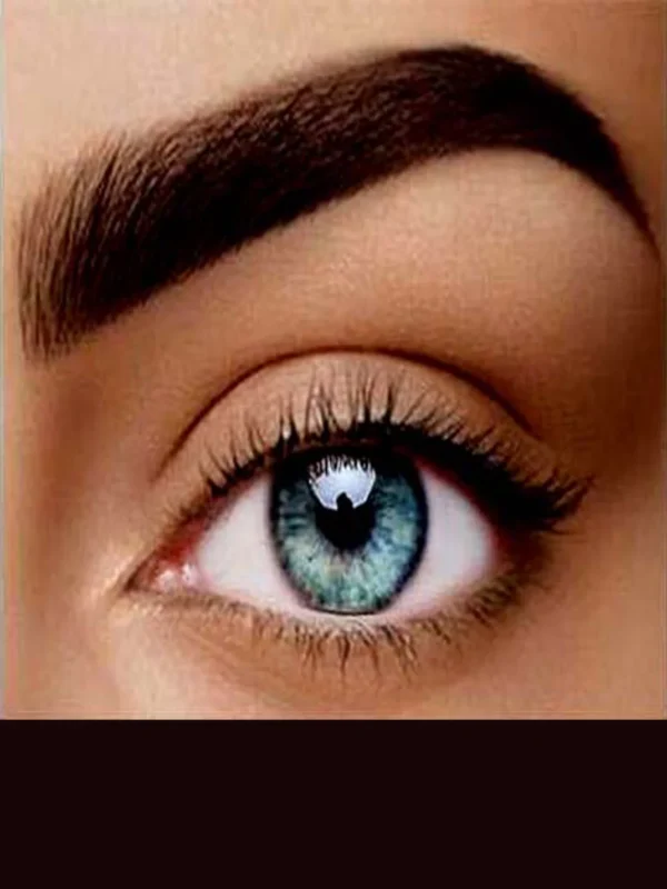 Baume Coloration Sourcils Ulyxa | Édition Limité – Image 8